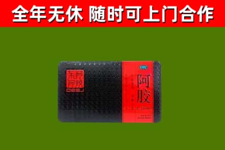 阜沙镇回收阿胶