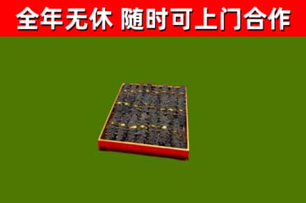 阜沙镇回收海参